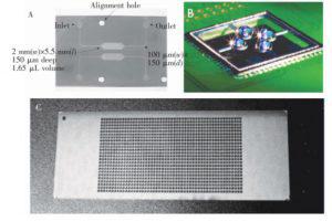 圖1&nbsp; 微池型 PCR芯片: (A) 單反應池 PCR芯片，(B) 液滴虛擬微池 PCR芯片， (C) 微池陣列 PCR芯片