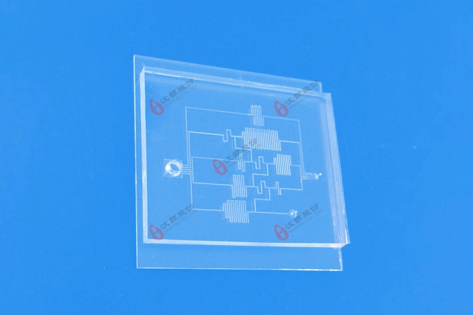 Microfluidic concentration gradient chip