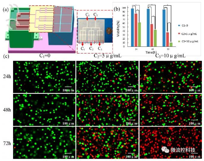 基于該平臺(tái)的3D腫瘤藥物篩選