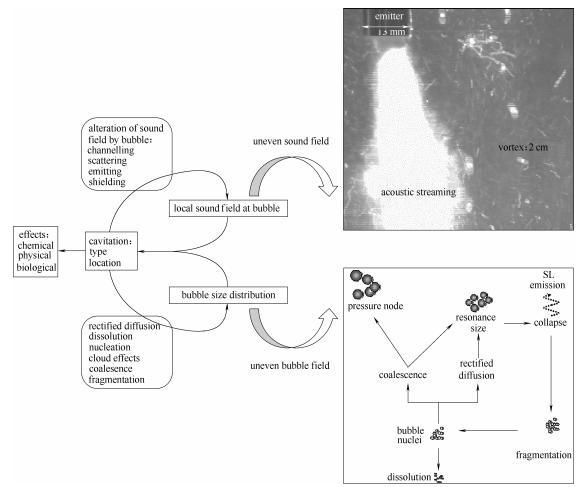 圖3反應(yīng)器中聲空化行為——復(fù)雜聲場(chǎng)和氣泡場(chǎng)的動(dòng)態(tài)耦合