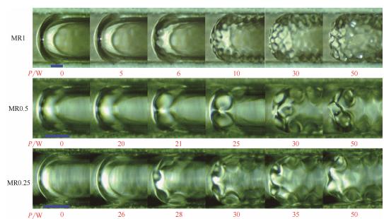 圖9超聲作用下微通道內(nèi)彈狀氣泡運(yùn)動(dòng)行為（標(biāo)尺250μm）