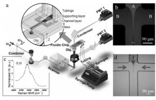 圖3CARS細胞計量檢測系統和芯片上流體聚焦效應