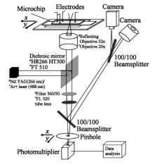 圖1紫外和可見激光誘導熒光檢測系統