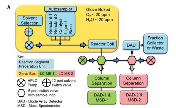 連續流平臺的自動取樣-反應-分析平臺示意圖。考慮到待測的化學物質可能對空氣和濕度敏感，作者將反應器組裝在手套箱環境中（圖片來源：《科學》）