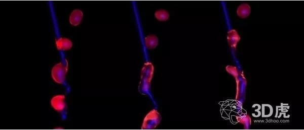 科學家借“空中微流體”技術成功打印出3D打印的活細胞