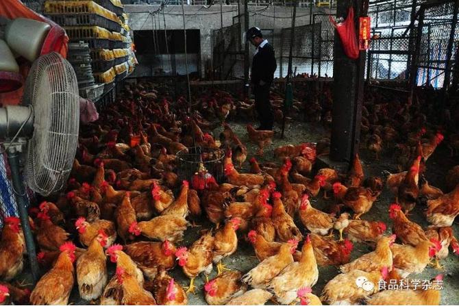 食品中抗病毒類藥物殘留檢測(cè)方法研究進(jìn)展