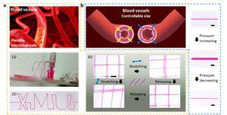 彈性體高分子膜基材料微流控技術