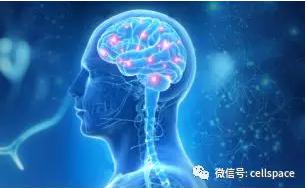 從實際應(yīng)用出發(fā)，讓標(biāo)志物助力精準(zhǔn)診斷