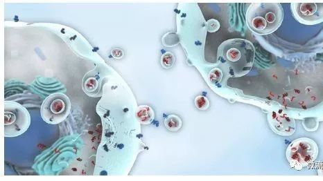 眾望所歸，液體活檢技術將迎來全新發展時代