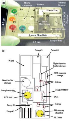 聚碳酸酯微流體盒，其中袋填充染料更好的可視化，他們被設計來存儲各種試劑和緩沖區