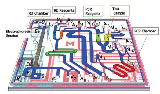 來自Pal等具有集成電泳分析的微流控PCR芯片，