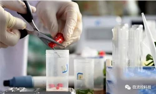 食品安全檢測市場發展趨勢分析 快速檢測市場前景樂觀