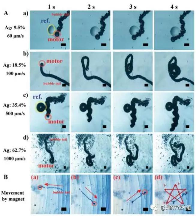 圖3. 不同Ag顆粒表面濃度的自驅(qū)動(dòng)微馬達(dá)驅(qū)動(dòng)速度和在磁場作用下的五角星運(yùn)動(dòng)軌跡