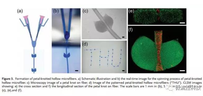 微流控免油紡絲法制備具有不同結點和可灌注通道的仿項鏈微纖維