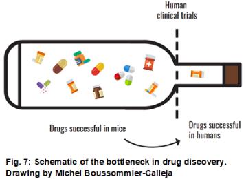 用于藥物發現的3D體外模型