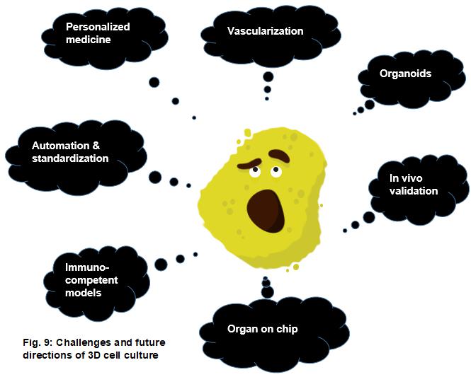 顯微鏡下3D細胞培養的未來