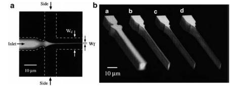 流動聚焦微流體混合