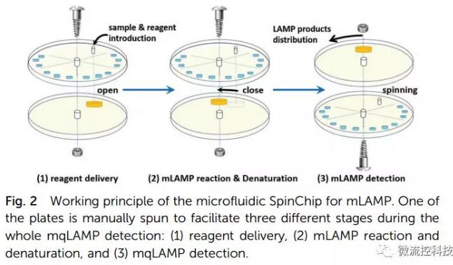 紙基聚合物基混合可旋轉微流控芯片實現多種傳染性疾病的及時定量診斷