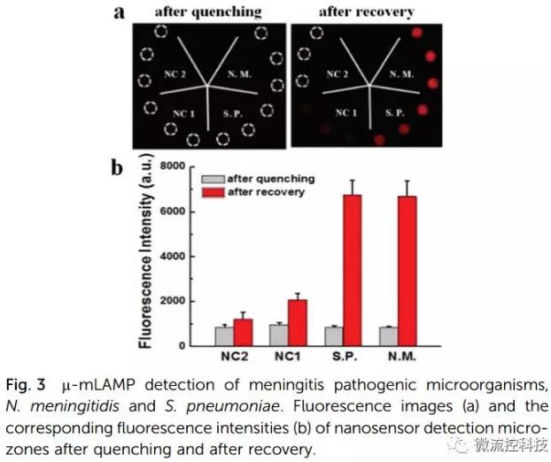 紙基聚合物基混合可旋轉微流控芯片實現多種傳染性疾病的及時定量診斷