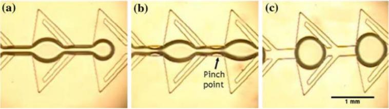 圖4：顯示由于微流體裝置中特別設計的通道幾何形狀而在油中形成水滴的圖像。（a）顯示水流通過狹窄的通道夾點時存在較薄的流體流。（b）示出了在水流停止之后，夾點中的水變得不穩定并且開始中斷水的連續性。（c）顯示了所形成的單分散水滴的形成。Wu等人的圖片&nbsp;“靜態條件下微通道中液滴的形成”。