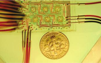 圖1：一種微流體恒化裝置，展示了可以包含在非常小的尺寸內的高密度微流體通道。來自Balagaddé等人的圖片&nbsp;“長期監測在微型恒溫器中進行程序化群體控制的細菌。