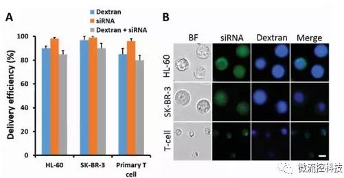 微流控芯片技術助力免疫治療，將CRISPR體系傳遞到人類T細胞