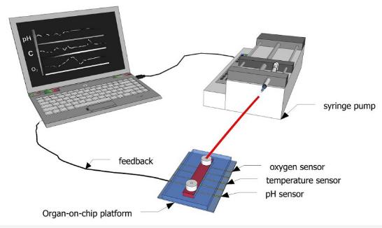 圖1：示意圖顯示了如何使用傳感器連續監測微流體通道內的生化參數。