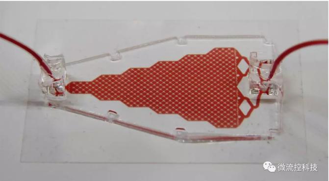 循環腫瘤細胞（CTCs）芯片