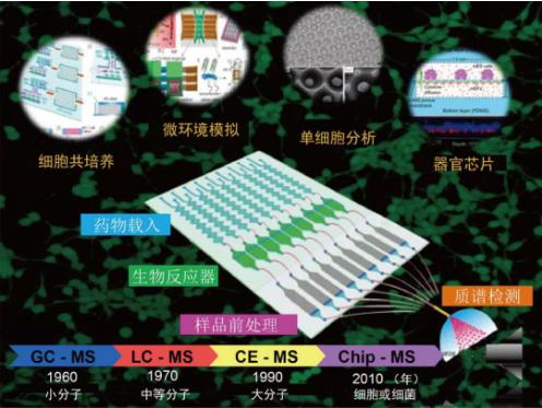 小芯片 大用途  微流控芯片細胞分析