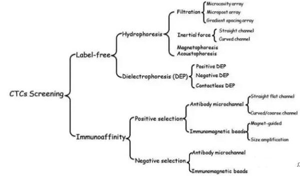 圖2：微流控系統分離CTCs的方法