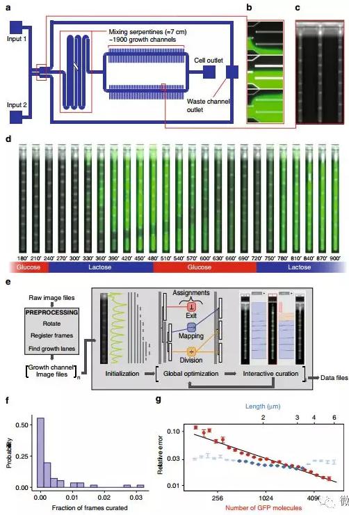 球最小的實驗室, 集成微流控動態可控監測單細胞基因調控