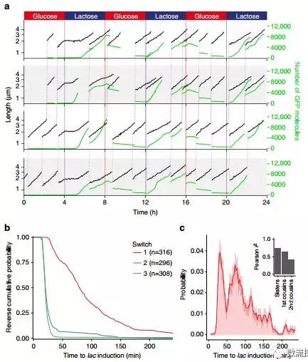 球最小的實驗室, 集成微流控動態可控監測單細胞基因調控