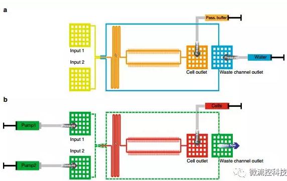 球最小的實驗室, 集成微流控動態可控監測單細胞基因調控