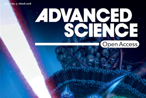 在多腔室微囊系統(tǒng)研究方面取得重要進展