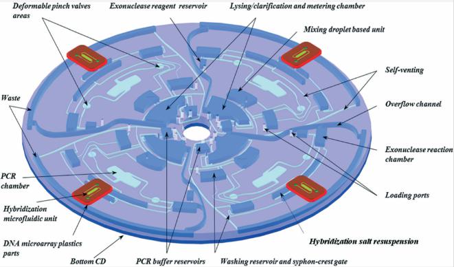 圖2：Lab-on-Disc設備的顯示，顯示了四個平行測試以及各個組件，指示裂解，PCR擴增，外切核酸酶反應，微陣列雜交等功能。