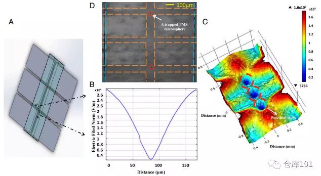 圖3. 多元復雜體系中單個生物粒子限制功能 A)微流控芯片示意圖；B)微流控管道內電勢分布；C)三維電勢圖；D)顯微照相圖