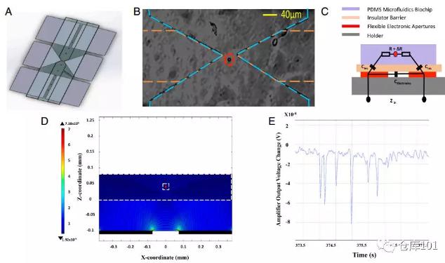 圖6. 實時單細胞計數 A)微流控芯片示意圖；B)單個細胞通過電極顯微照相圖；C)等效電路圖；D)單個細胞通過的電勢計算圖；E)6個PMS微球通過的實驗測量電勢圖