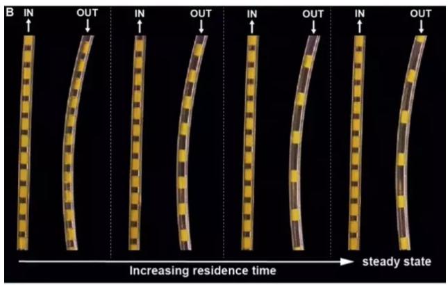 光催化多相連續氟化反應