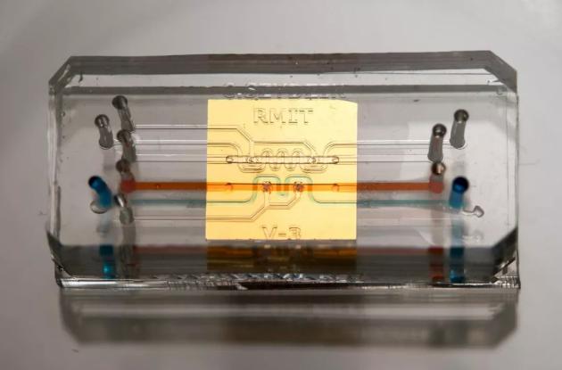 無需任何外部標記微流體裝置