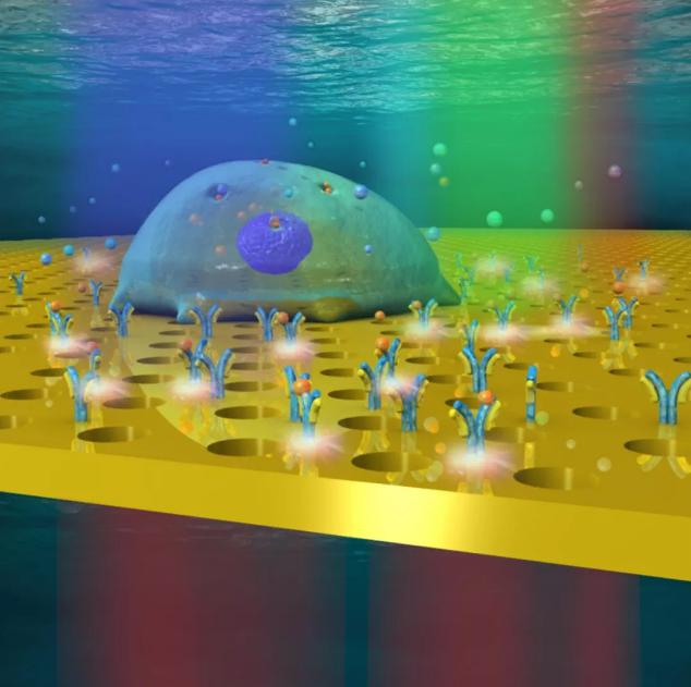 微型腔體放置在載玻片之上