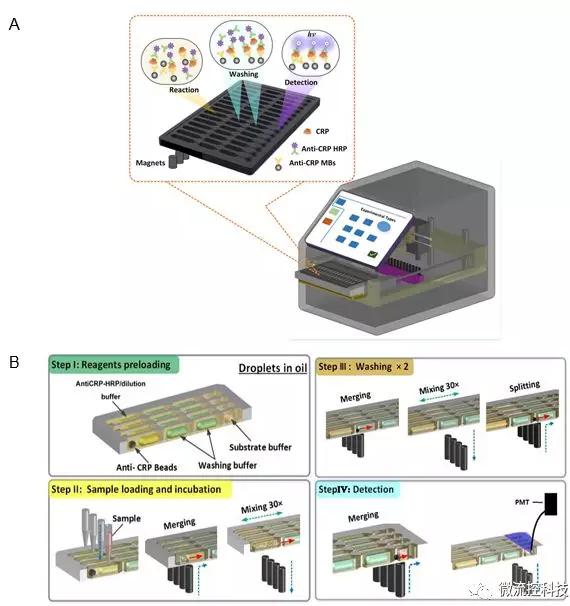 圖2 液滴陣列微流控芯片免疫分析系統。A. 分析儀器結構示意圖;B. 分析原理示意圖。