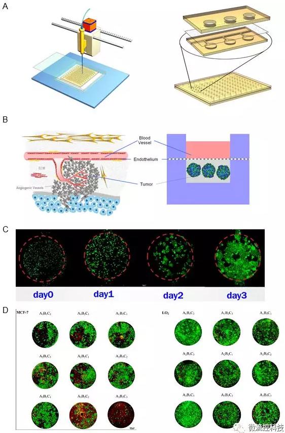 圖4A.微流控腫瘤微陣列藥物測試系統包含一種復合式結構開放式微流控芯片以及移液工作站