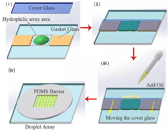 圖1. 油蓋水型液滴陣列制備步驟的示意圖