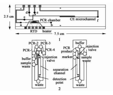 PCR 產(chǎn)物檢測(cè)電泳芯片