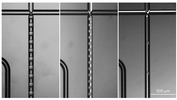  Aqua-Phase中不同大小的PLGA / DCM液滴的圖像