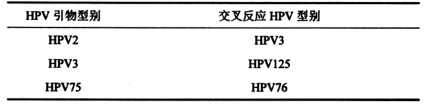 表2皮膚低危型別組內出現交叉反應的HPV型別
