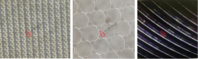 單層SU-8光刻膠模具局部結構放大圖