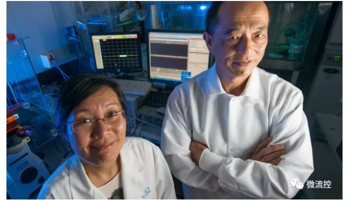 理海大學（Lehigh University）材料科學與工程系助教Xuanhong Cheng（圖左），以及電氣工程與計算機系的教授James Hwang（圖右）