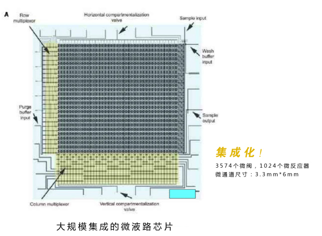 微流控芯片實驗室技術(shù)優(yōu)勢：大規(guī)模集成的微液路芯片