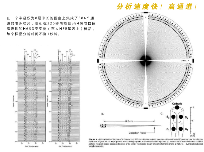 微流控芯片實驗室分析檢測速度快，具有高通道等特性。